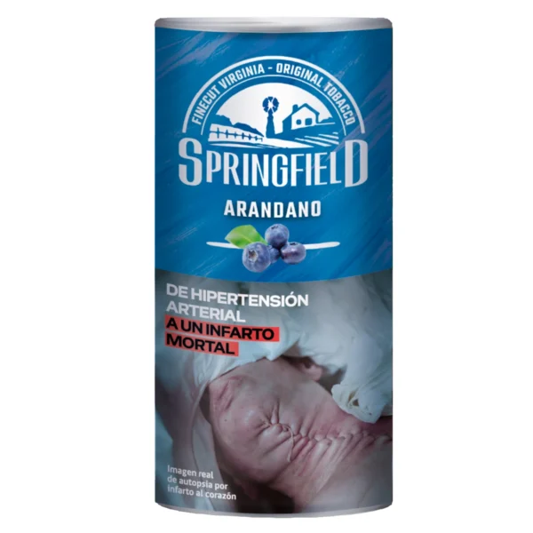 TABAC SPRINGFIELD ARANDANO 40 GR